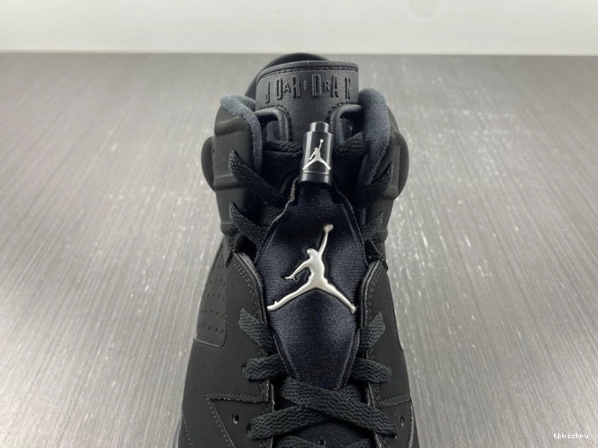 Reps TBkick Silver 6 Air DX2836-001 Metallic Jordan 0706